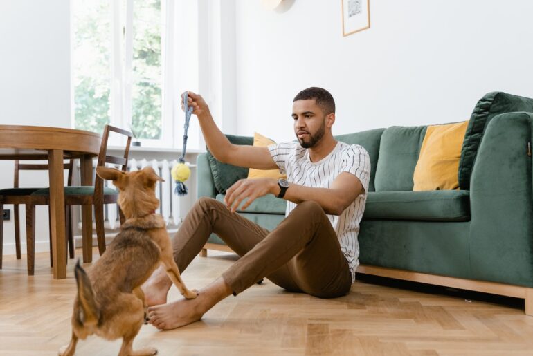 fun indoor games to play with dogs